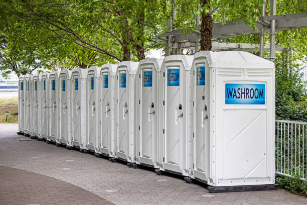 Portable Toilet Options We Offer in Truman, MN